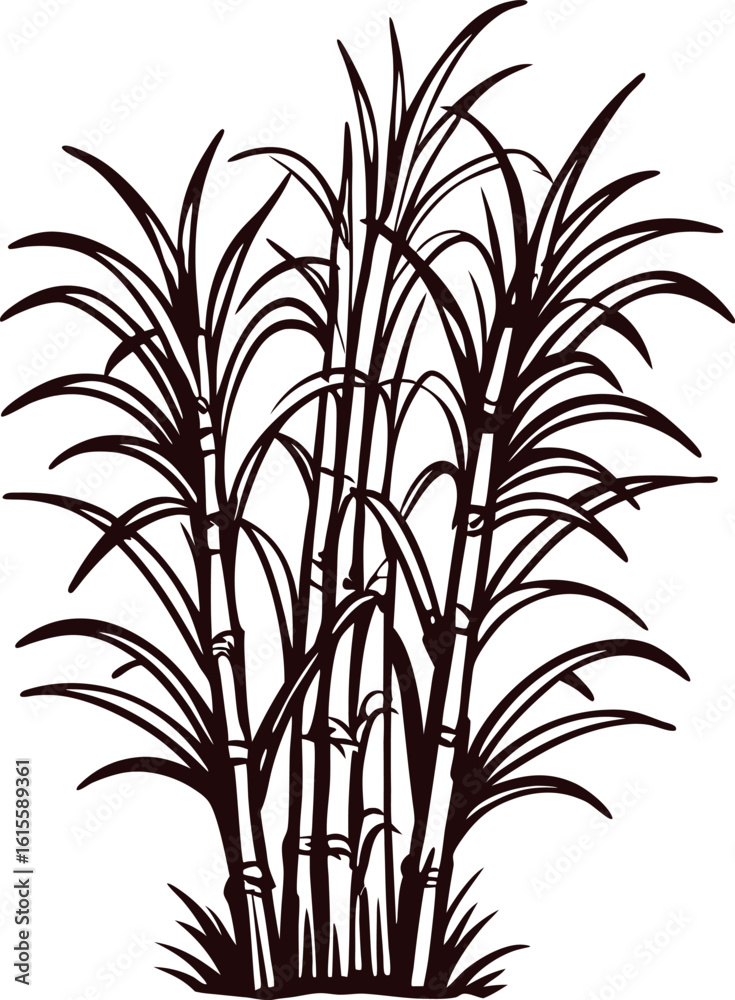 Obraz premium Silhouette illustration of sugarcane plants with detailed leaves and stems on white background
