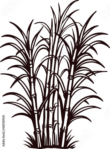 Silhouette illustration of sugarcane plants with detailed leaves and stems on white background