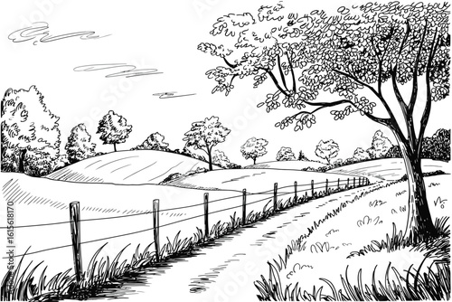 Landscape with trees, field, and fence in black and white engraving style vector illustration
