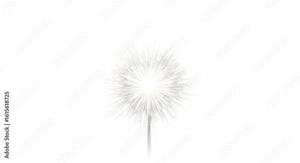 Obraz premium White Sparkle Firework Explosion