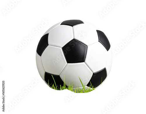  “Classic Black and White Soccer Ball on Green Grass, isolated on transparent background”.