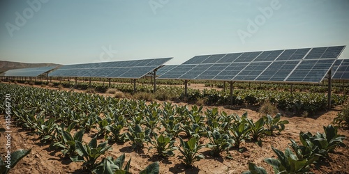 Wallpaper Mural Solar panels over a field of crops under a clear sky creating renewable energy in a rural landscape Torontodigital.ca
