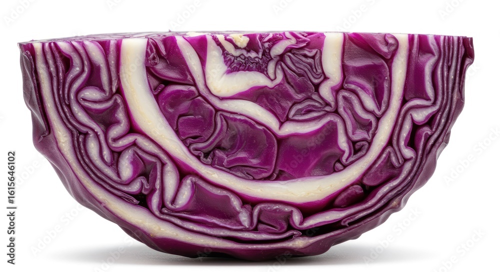 Cross-section of a fresh red cabbage with intricate patterns Cross-section of a fresh red cabbage with intricate patterns