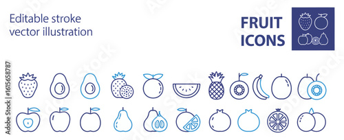 Vector art of a collection of fruit icons including strawberries, avocados, pineapples, bananas, apples, pears, pomegranates, oranges, kiwis, and watermelons