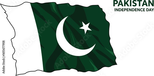 Waving pakistan flag for independence day