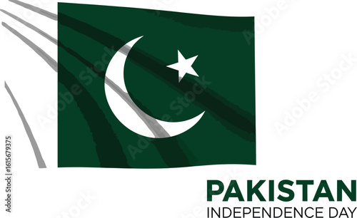 Waving pakistan flag illustration