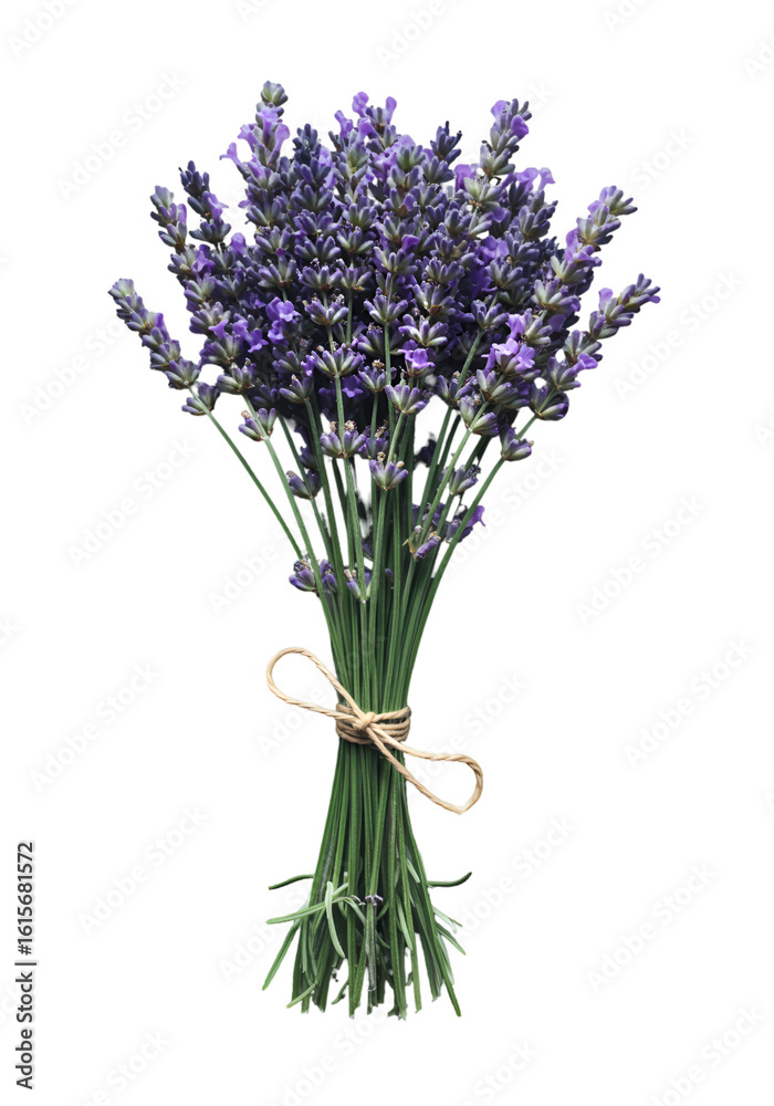 Fototapeta premium Isolated Purple Lavender Bouquet Illustration With Transparent Background
