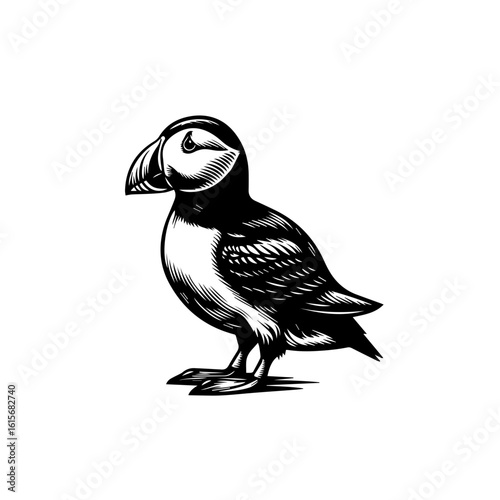 Black and White Woodcut Style Illustration of a Puffin Bird.