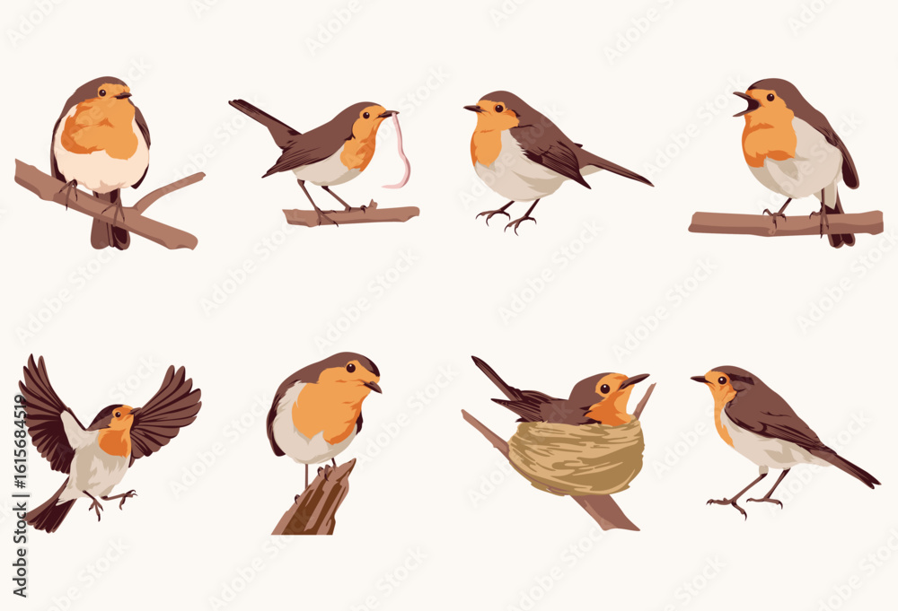 Obraz premium A collection of eight illustrations depicting European robins in various poses, including perched on branches, flying, nesting, and holding nesting material.