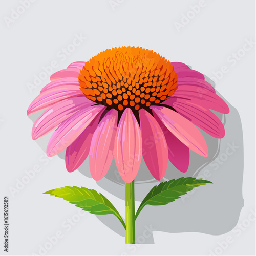 Illustrative pink echinacea flower with vibrant orange center and simple background