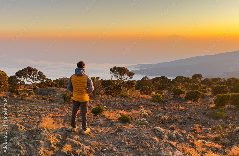 Fototapeta premium Hiker watching the sunset in mount kilimanjaro.
