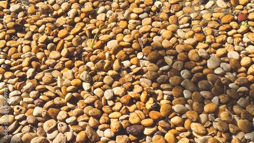 Pebble Stone Surface – Natural Brown River Rock Texture Background