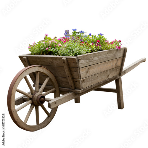 Isolated Wheelbarrow Illustration With Flowers In Rustic Wooden Cart