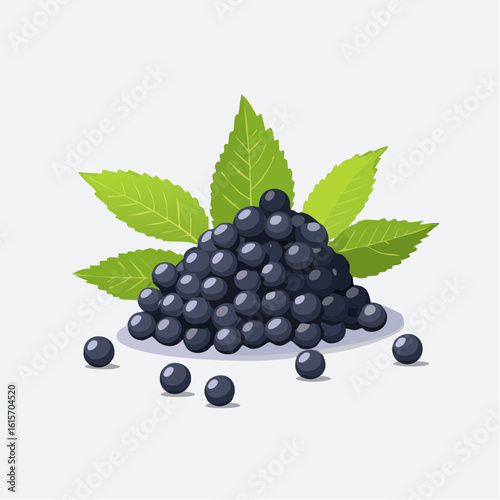 Artistic illustration of a pile of vibrant black elderberries with accompanying leaves