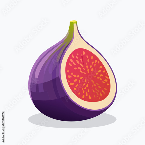 Illustration of a Ripe Fig Fruit Cut in Half Showing its Internal Structure