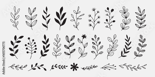 Wallpaper Mural Black botanical branches and leaves floral foliage Torontodigital.ca
