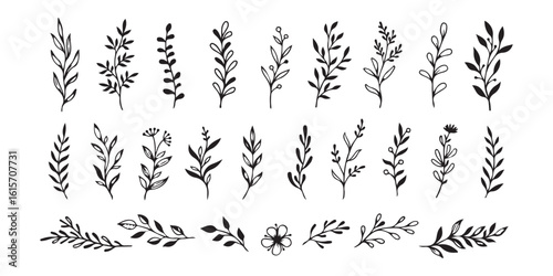 Black botanical elements and floral sprigs leaves branches