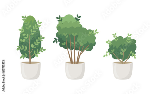 Minimalist Potted Topiary Plants Illustration – Decorative Indoor Greenery in Flat Style.
