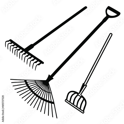 Still life composition of five garden rakes
