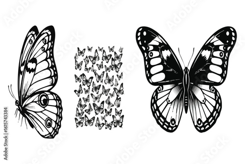 Butterfly Silhouettes