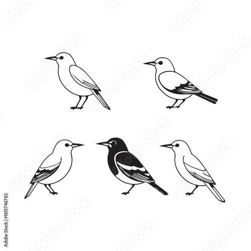 Wallpaper Mural Minimal bird set vector design concept black and white illustration. Torontodigital.ca
