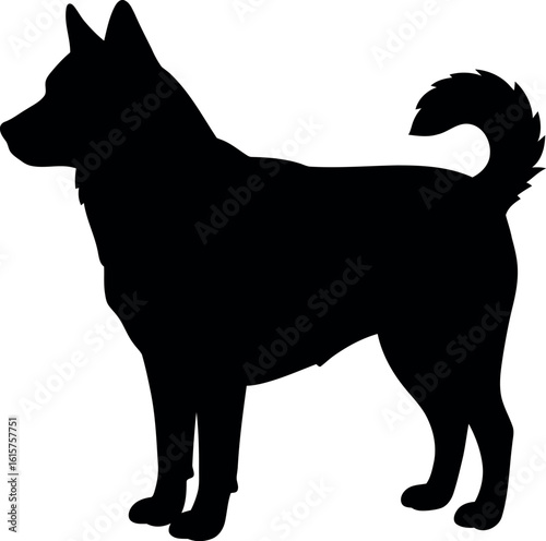 Black silhouette husky dog standing profile