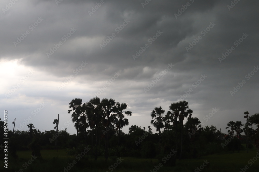 Obraz premium Cloudy sky and trees: A landscape that creates atmosphere. capture the drama, the peace and serenity.