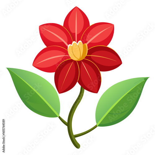 red flower isolated on white