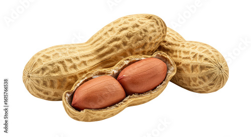 Realistic Photo Three Peanuts One Open Isolated
