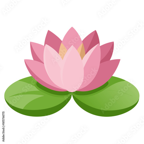 water lily flower vector illustration