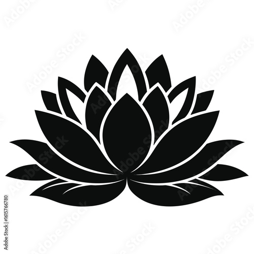 Obraz na plátne vector illustration of water lili flower