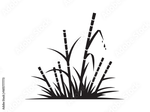 Sugarcane stalks silhouette vector isolated on white background