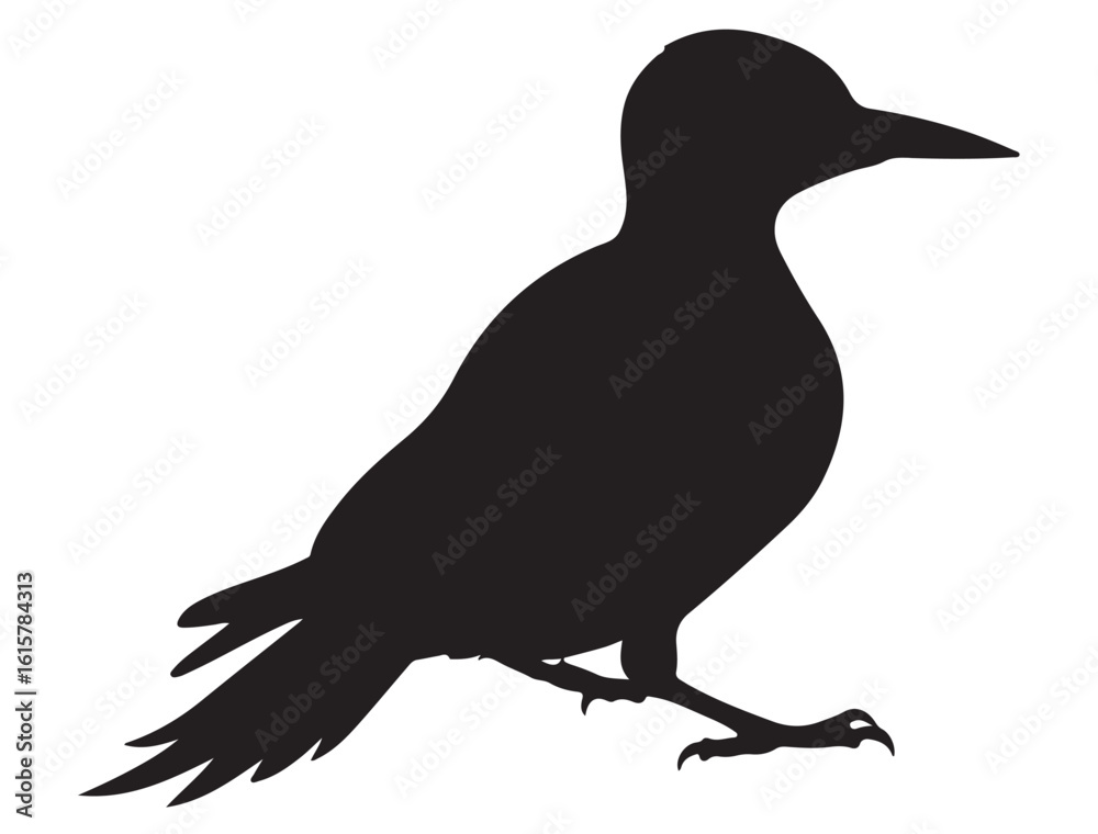 Obraz premium WOODPECKER SILHOUETTE