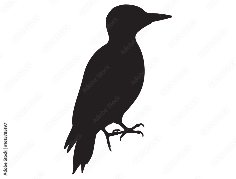 Obraz premium WOODPECKER SILHOUETTE