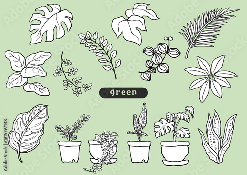 手描き風の観葉植物モノクロセット