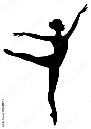 Elegant Ballet Dancer in Silhouette Pose