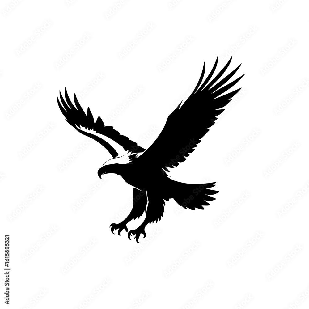 Fototapeta premium eagle in flight