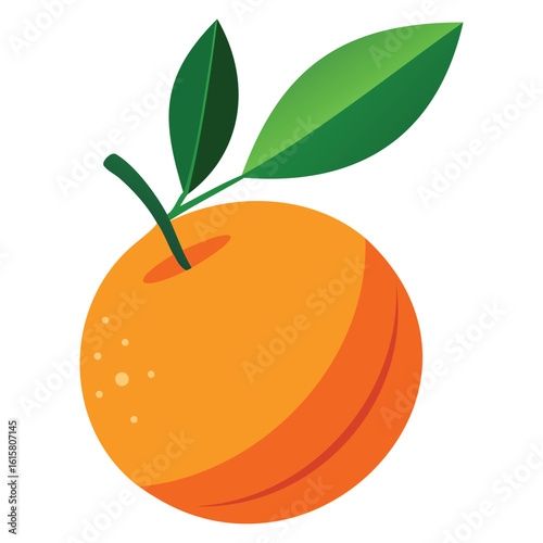 Fresh Citrus Orange Graphics