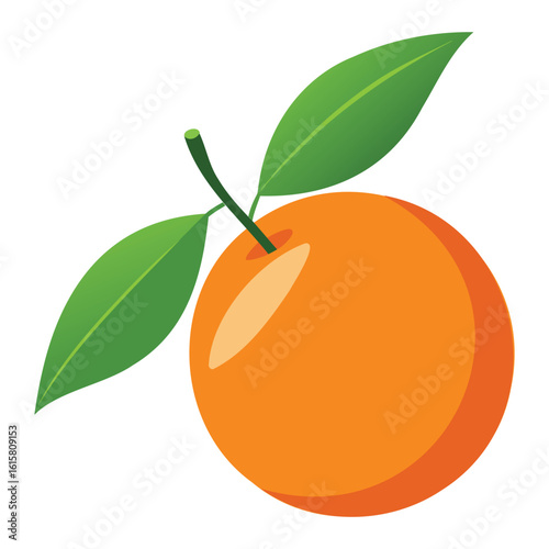 Fresh Citrus Orange Graphics