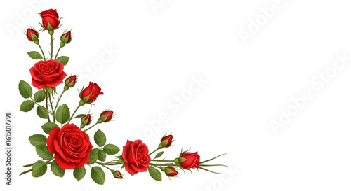 Fototapeta Naklejka Na Ścianę i Meble -  Red roses arranged in a corner frame isolated on transparent background