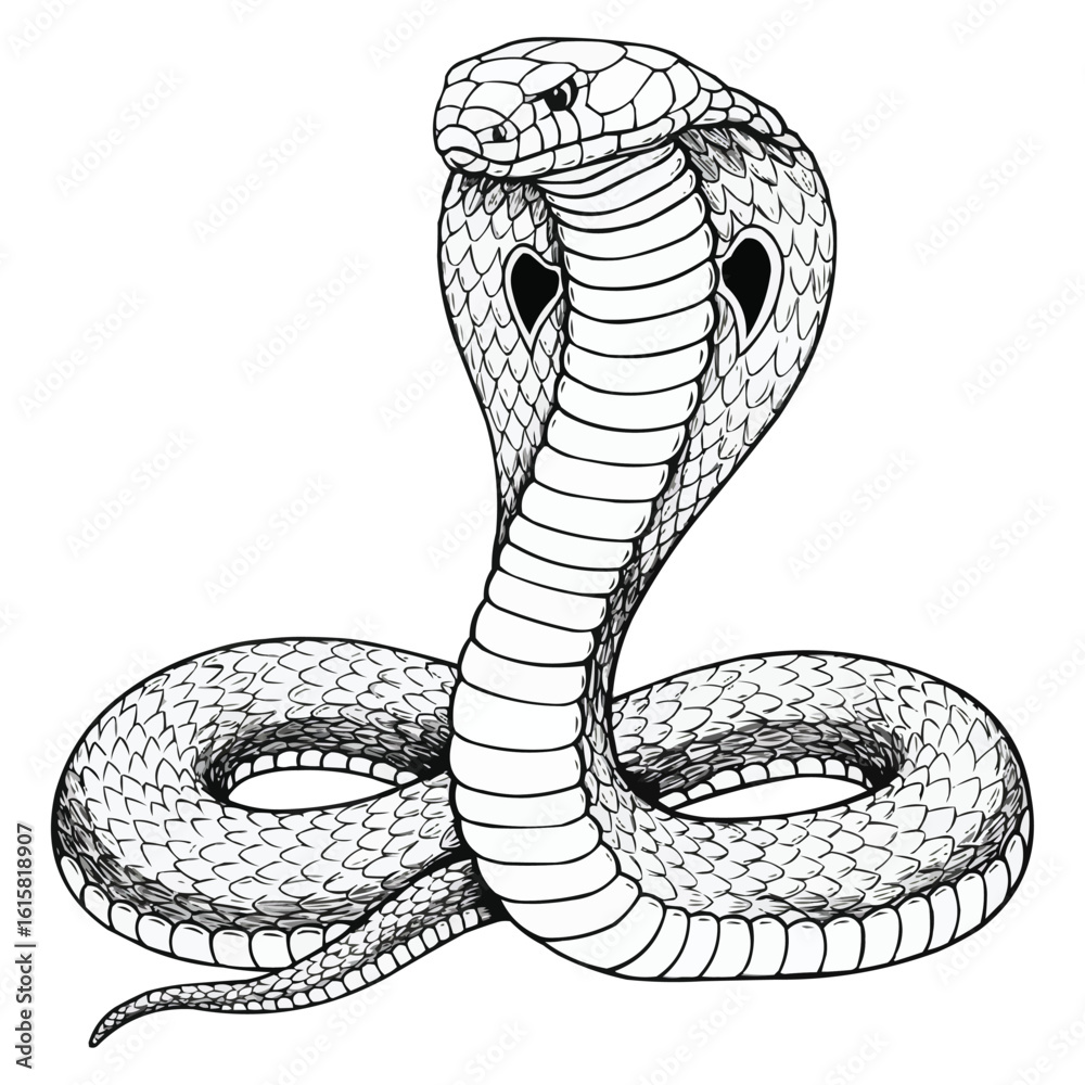 Fototapeta premium Majestic Cobra Snake in Detailed Line Art