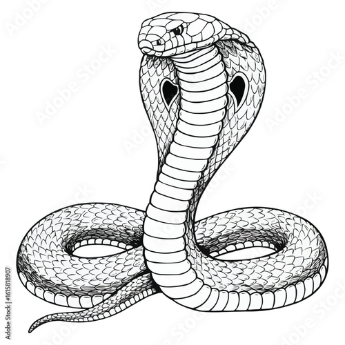 Majestic Cobra Snake in Detailed Line Art