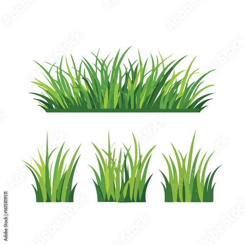 Green grass clumps and border illustration on white background clump of grass border