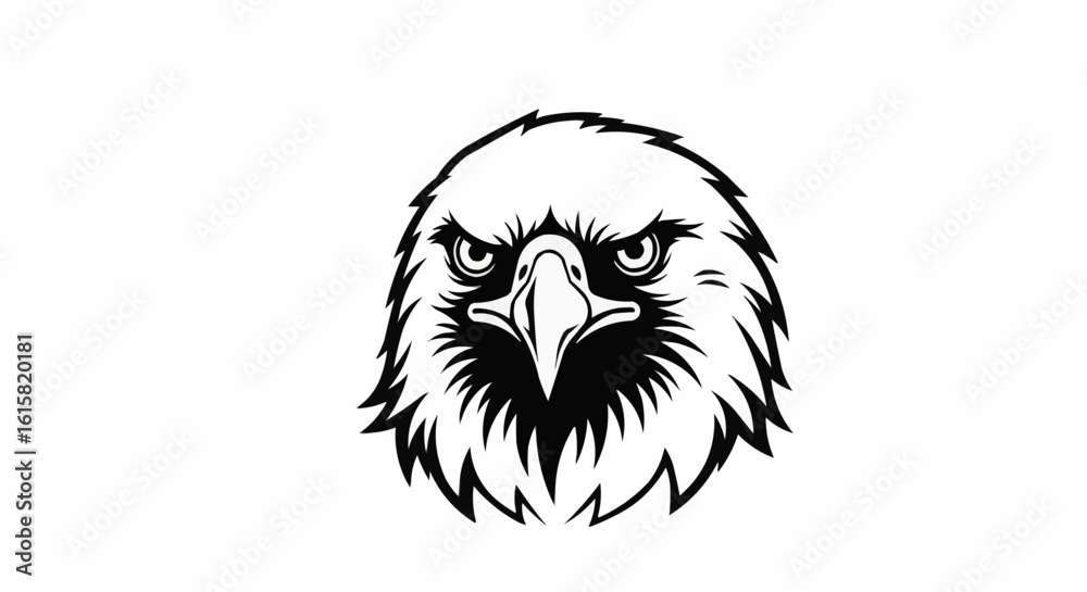 Fototapeta premium head of eagle