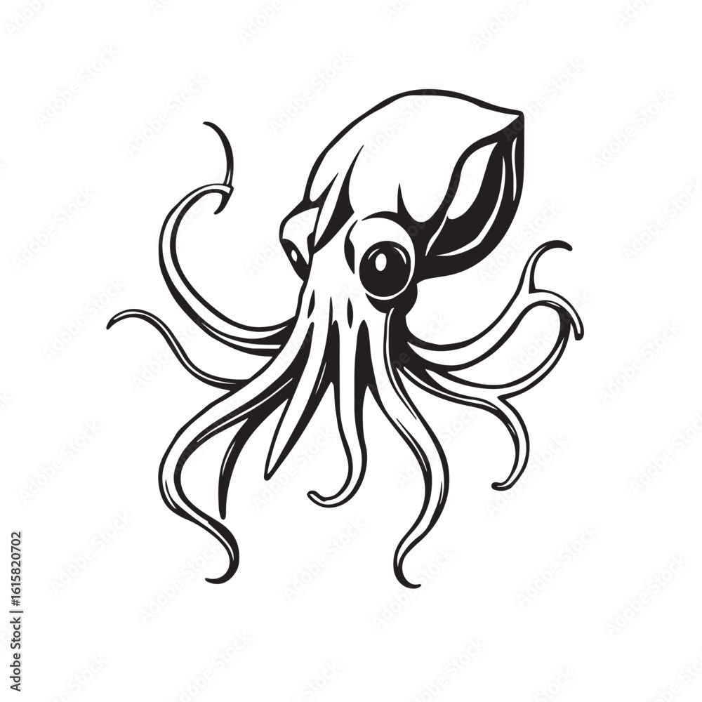 Fototapeta premium Squid vector design concept black and white illustration.