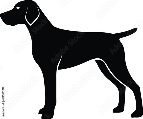 Wirehaired Vizsla dog silhouette vector of Hungarian sporting breed for digital and graphic design use