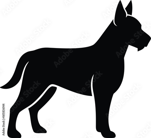 Berger Picard dog silhouette vector illustration of rustic French herding breed for graphic design use