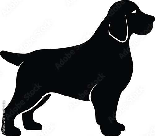 Clumber Spaniel dog silhouette vector of sturdy, short-legged breed with broad head for design use