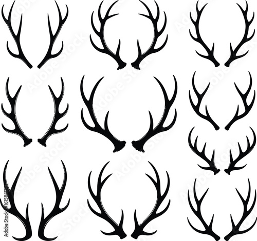 Deer antlers collection stag antlers shed antlers