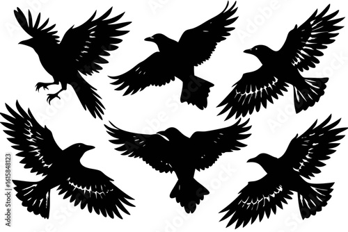 A collection of black crow silhouettes in various flying poses. A conceptual set representing mystery, freedom, and the gothic.
